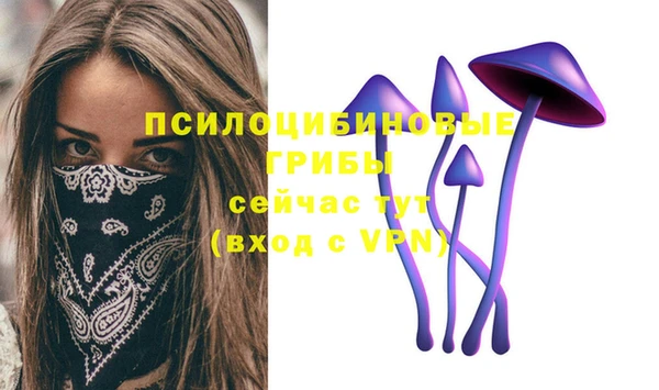 твердый Аркадак