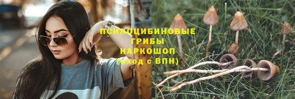 твердый Аркадак