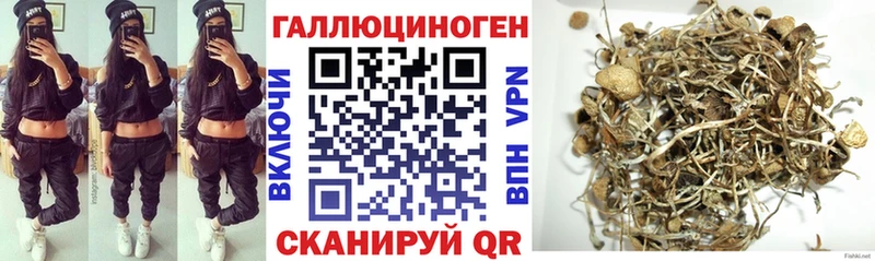 наркотики  МЕГА ссылка  Галлюциногенные грибы мицелий  Приволжск 